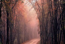 东升国际：李松益进队史中超首球 云南玉昆1-1浙江夺赛季首分.