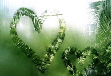 赞不绝口!许利民:曾凡博从赛季初的伤病阴霾中完全走出来了.