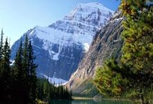 东升国际：鲁能出线分析：两种情况可晋级祈求浦项不放水.